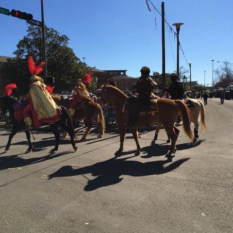 Mardi Gras 2016 pic 2.JPG